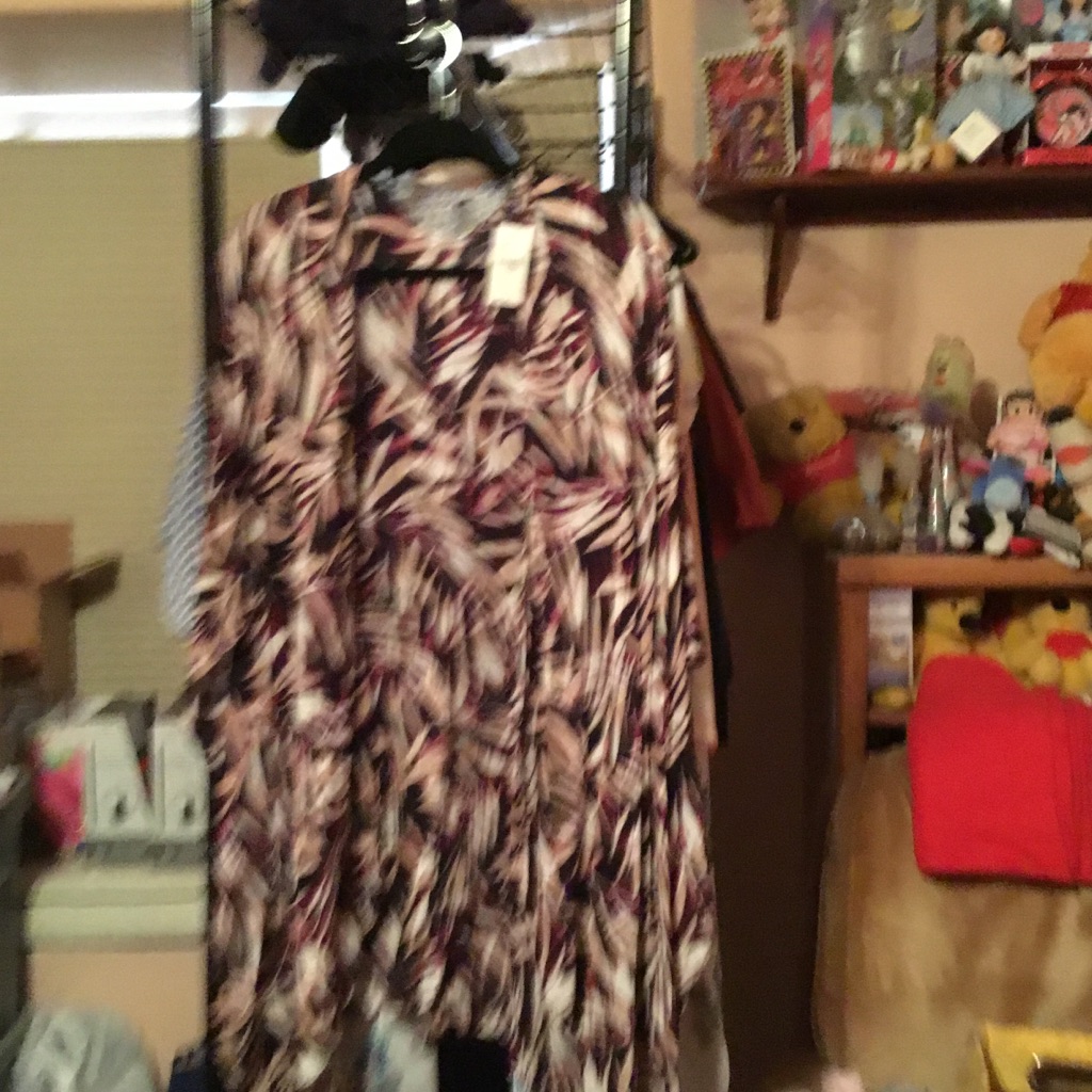 B1 Lane Bryant Cover Brand New